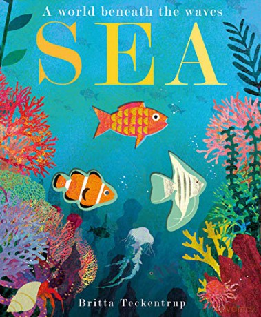 Sea: A World Beneath the Waves - Patricia Hegarty [KSIĄŻKA]