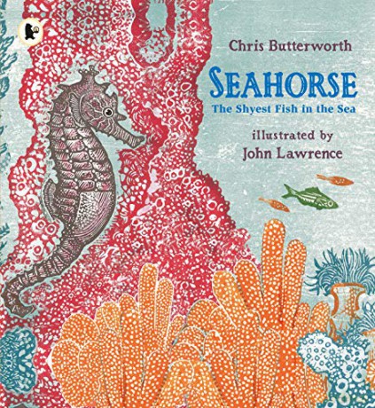 Seahorse: The Shyest Fish in the Sea - Chris Butterworth [KSIĄŻKA]