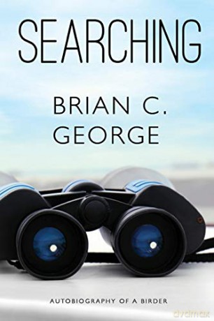 Searching - Volume One - Brian George [KSIĄŻKA]