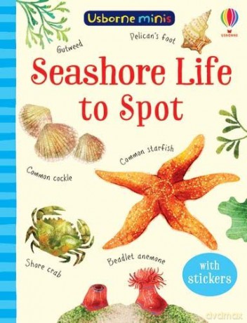 Seashore Life to Spot (Usborne Mini Books): 1 (Usborne Minis) - Sam Smith [KSIĄŻKA]