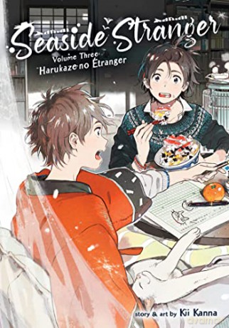 Seaside Stranger Vol. 3: Harukaze no Etranger - Kii [KSIĄŻKA]