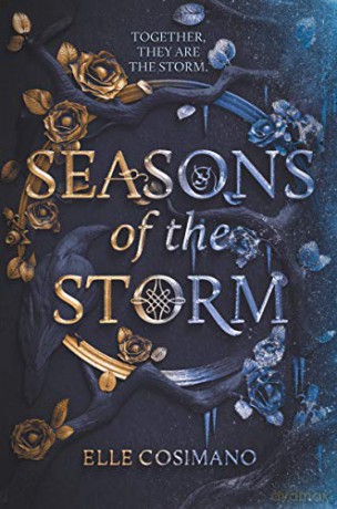 Seasons of the Storm: 1 - Elle Cosimano [KSIĄŻKA]