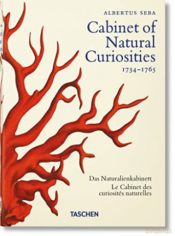 Seba. Cabinet of Natural Curiosities. 40th Ed. - Irmgard Müsch [KSIĄŻKA]