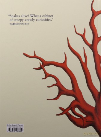 Seba. Cabinet of Natural Curiosities. 40th Ed. - Irmgard Müsch [KSIĄŻKA]
