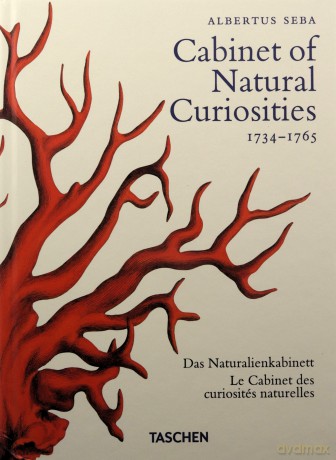 Seba. Cabinet of Natural Curiosities. 40th Ed. - Irmgard Müsch [KSIĄŻKA]