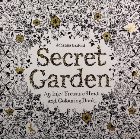 Secret Garden: An Inky Treasure Hunt and Colouring Book: 1 - Johanna Basford [KSIĄŻKA]