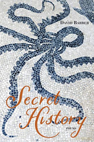 Secret History: Poems - David Barber [KSIĄŻKA]
