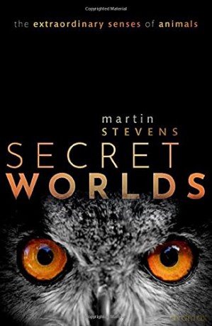 Secret Worlds: The extraordinary senses of animals - Martin Stevens [KSIĄŻKA]