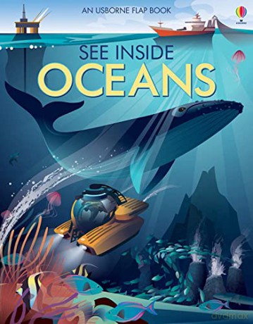 See Inside Oceans - Emily Bone [KSIĄŻKA]