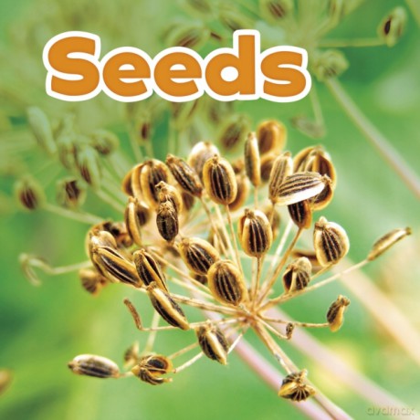 Seeds (Plant Parts) - Marissa Kirkman [KSIĄŻKA]