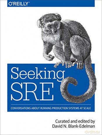 Seeking SRE: Conversations about running production systems at scale - David Blank-Edelman [KSIĄŻKA]