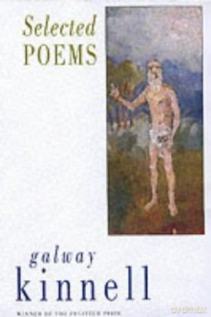 Selected Poems - Galway Kinnell [KSIĄŻKA]