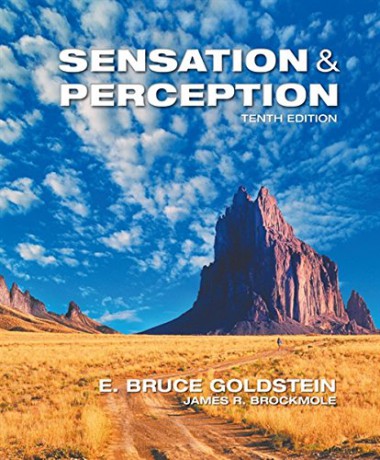 Sensation and Perception - E. Goldstein [KSIĄŻKA]