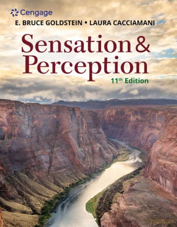 Sensation and Perception (Mindtap Course List) - Laura Cacciamani [KSIĄŻKA]