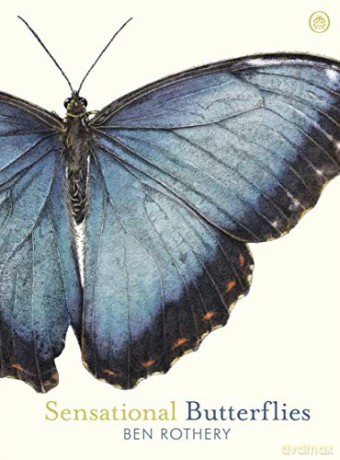 Sensational Butterflies - Ben Rothery [KSIĄŻKA]