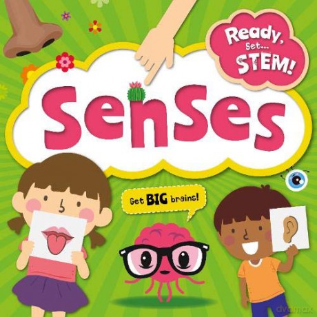 Senses (Ready, Set STEM!) - William [KSIĄŻKA]