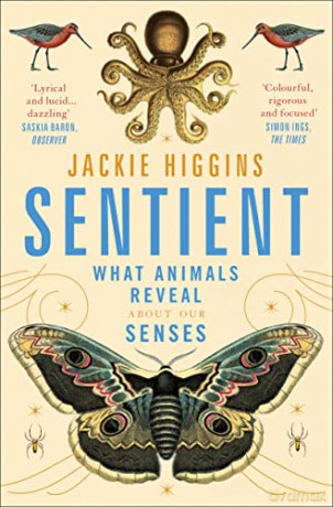 Sentient: What Animals Reveal About Human Senses - Jackie Higgins [KSIĄŻKA]