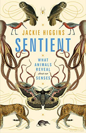 Sentient: What Animals Reveal About Our Senses - Jackie Higgins [KSIĄŻKA]