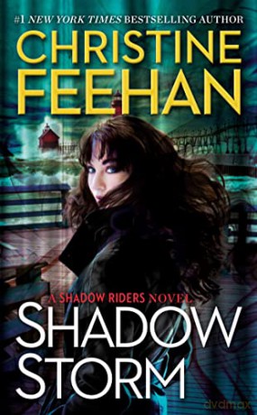 Shadow Storm: 6 (Shadow Riders Novel) - Christine Feehan [KSIĄŻKA]