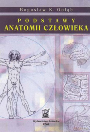 Podstawy anatomii człowieka - Podręcznik dla studentów - Gołąb [KSIĄŻKA]