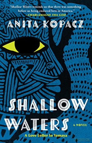 Shallow Waters: A Novel - Anita Kopacz [KSIĄŻKA]