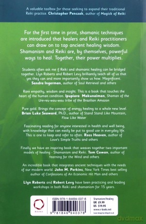 Shamanic Reiki: Expanded Ways of Working with Universal Life Force Energy - Llyn Roberts [KSIĄŻKA]