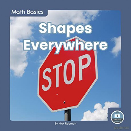 Shapes Everywhere (9781646191635) - Nick Rebman [KSIĄŻKA]