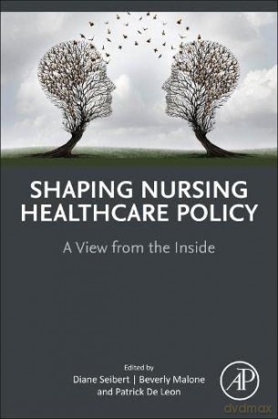 Shaping Nursing Healthcare Policy: A View from the Inside - Diane Seibert [KSIĄŻKA]