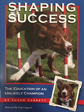 Shaping Success - Susan Garrett [KSIĄŻKA]