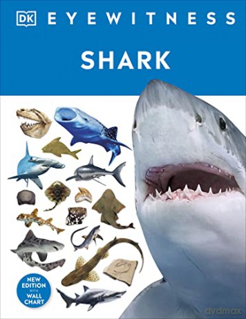 Shark (DK Eyewitness) [KSIĄŻKA]