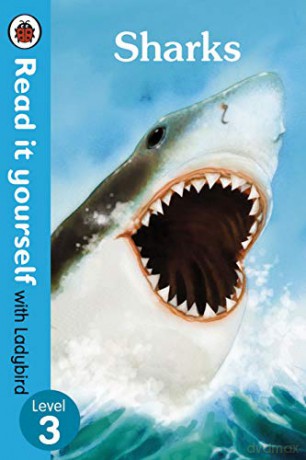 Sharks - Read it yourself with Ladybird: Level 3 (non-fiction) - Ladybird [KSIĄŻKA]