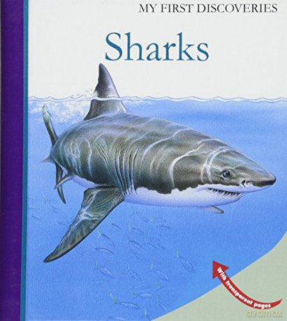 Sharks: 45 (My First Discoveries) - Raoul Sautai [KSIĄŻKA]
