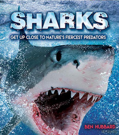 Sharks: Get Up Close to Nature's Fiercest Predators: 1 - Ben Hubbard [KSIĄŻKA]