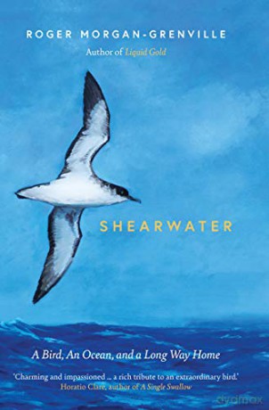 Shearwater: A Bird, an Ocean, and a Long Way Home - Roger Morgan-Grenville [KSIĄŻKA]