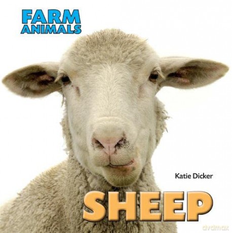 Sheep (Farm Animals) - Katie Dicker [KSIĄŻKA]