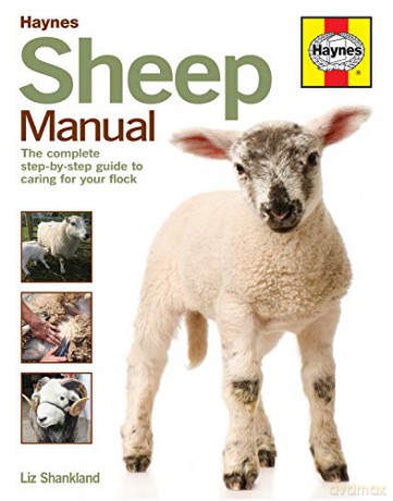 Sheep Manual: The Complete Step-by-Step Guide to Caring for Your Flock (Haynes Manuals) - Liz Shankland [KSIĄŻKA]