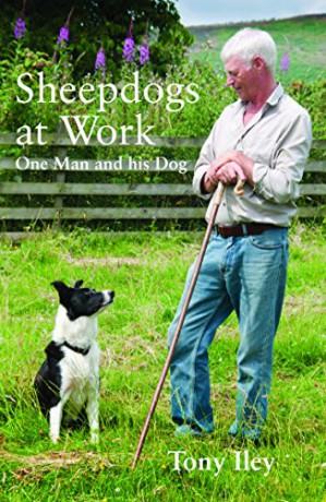 Sheepdogs at Work: One Man and His Dog - Tony Iley [KSIĄŻKA]