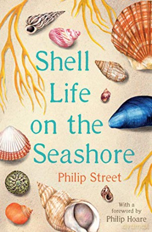 Shell Life on the Seashore - Philip Street [KSIĄŻKA]