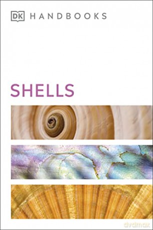 Shells (DK Handbooks) [KSIĄŻKA]