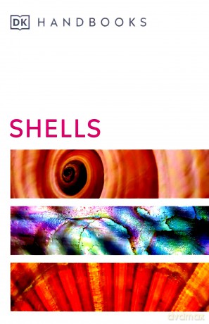 Shells (DK Handbooks) [KSIĄŻKA]