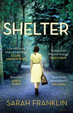 Shelter: 'One of the year's hottest debuts' - Sarah Franklin [KSIĄŻKA]