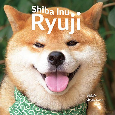 Shiba Inu Ryuji - Yukiko Motoshima [KSIĄŻKA]