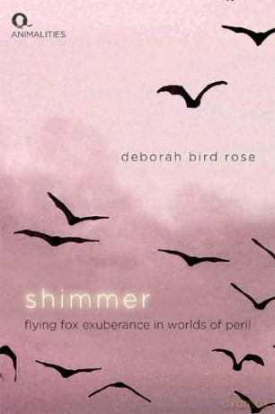 Shimmer: Flying Fox Exuberance in Worlds of Peril (Animalities) - Deborah Bird Rose [KSIĄŻKA]