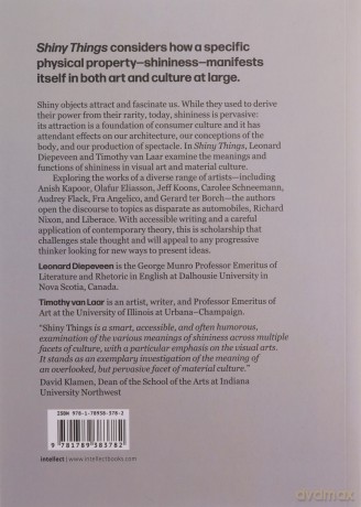Shiny Things: Reflective Surfaces and Their Mixed Meanings - Timothy van Laar [KSIĄŻKA]
