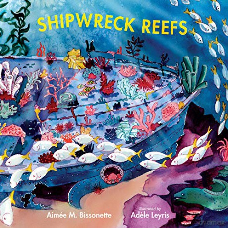 Shipwreck Reefs (Imagine This!) [KSIĄŻKA]