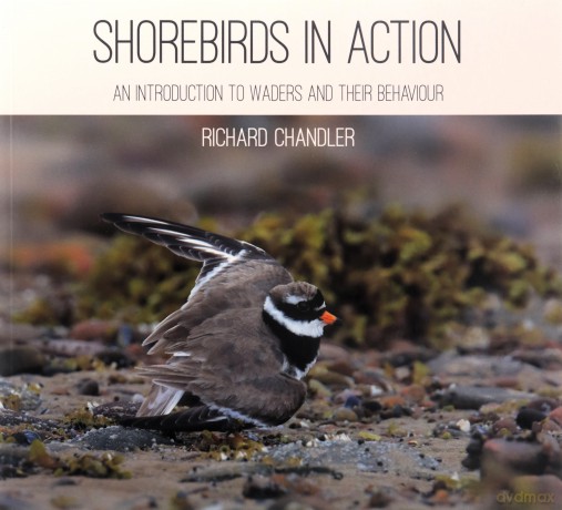 Shorebirds in Action: An Introduction to Waders and Their Behaviour - Richard Chandler [KSIĄŻKA]