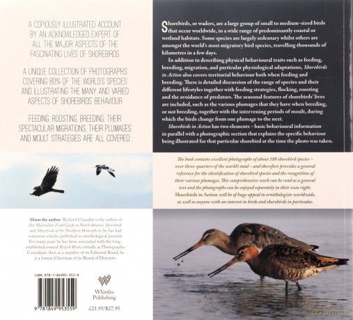 Shorebirds in Action: An Introduction to Waders and Their Behaviour - Richard Chandler [KSIĄŻKA]