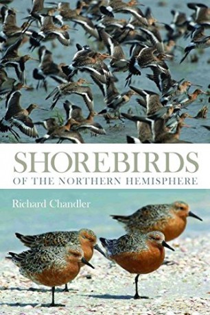 Shorebirds of the Northern Hemisphere (Helm Photographic Guides) - Richard Chandler [KSIĄŻKA]