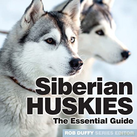 Siberian Huskies: The Essential Guide - Robert Duffy [KSIĄŻKA]