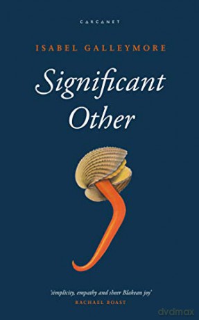 Significant Other - Isabel Galleymore [KSIĄŻKA]